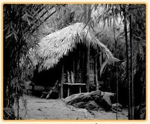 Lán Nà Nưa – nơi Bác Hồ ở và chỉ đạo Tổng khởi nghĩa, tháng 8/1945