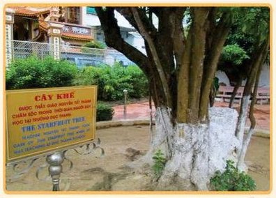 Khu di tích Dục Thanh và cây khế